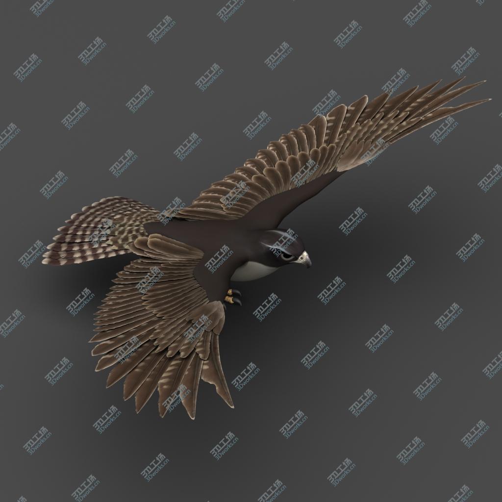 images/goods_img/202105071/Falcon 3D model/1.jpg